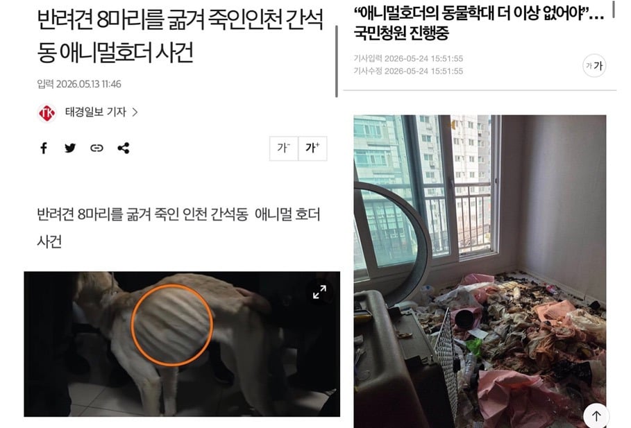 인천 간석동 애니멀호더 사건 (청원 주소 있음) | 인스티즈