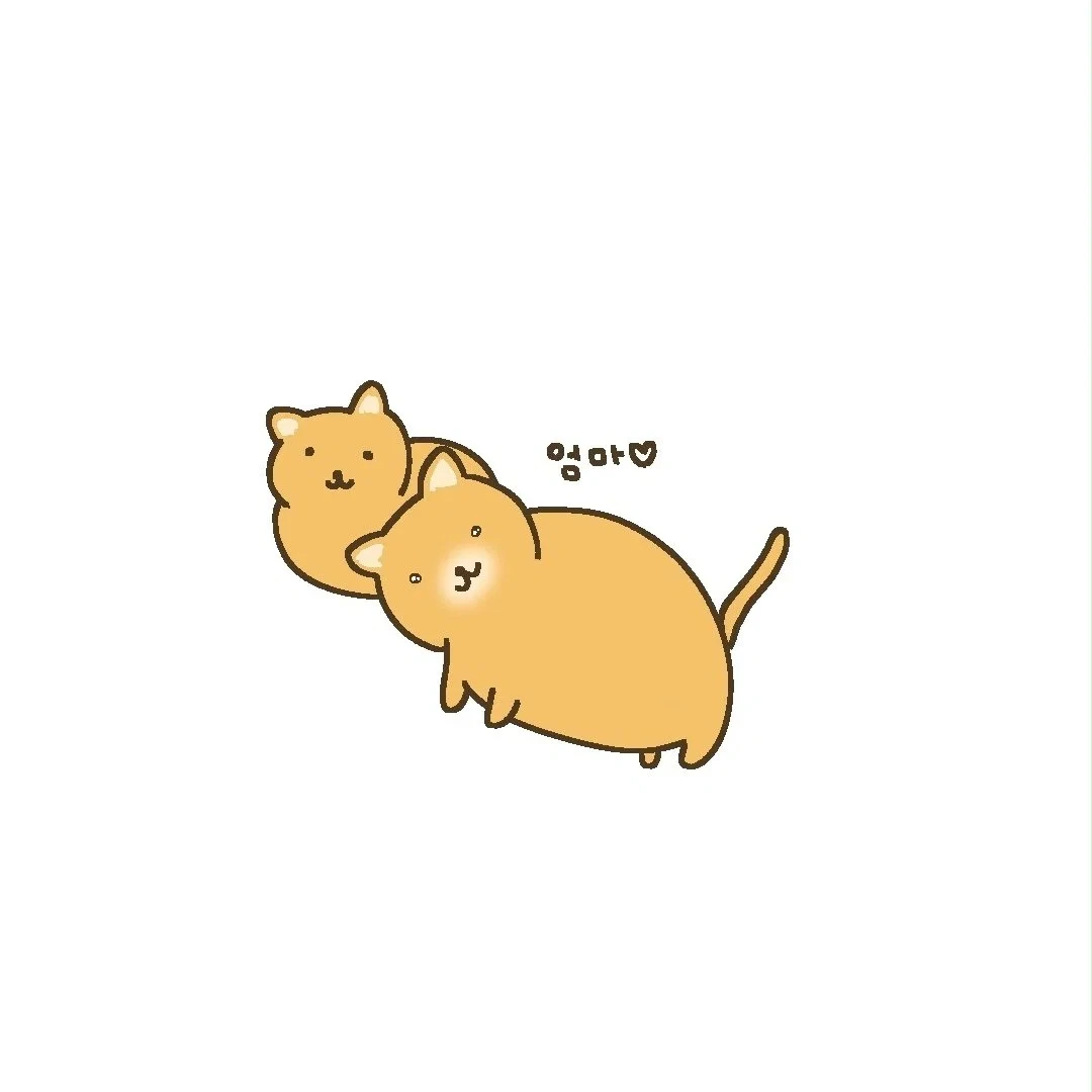 이런 고앵이들 보통 작은쪽이 엄마이고 그걸 좋아함 | 인스티즈