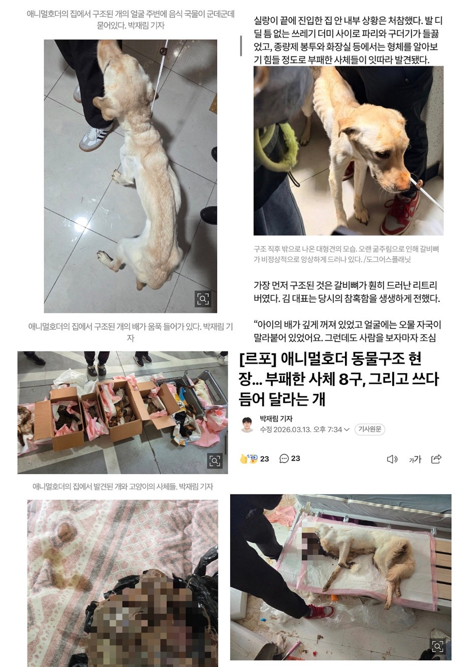 인천 간석동 애니멀호더 사건 (청원 주소 있음) | 인스티즈