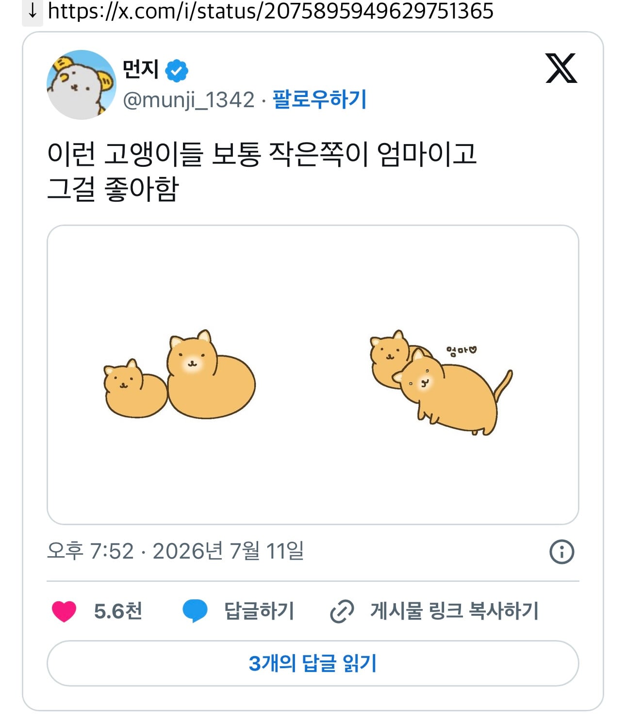 이런 고앵이들 보통 작은쪽이 엄마이고 그걸 좋아함 | 인스티즈