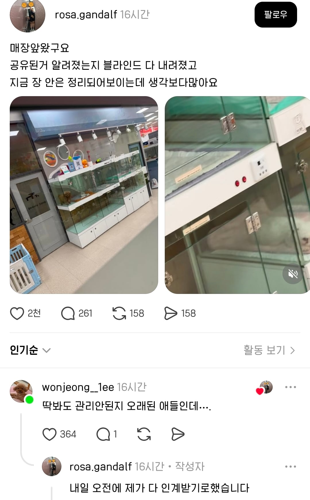 핫플 간 방치 펫샵 강쥐들 구조완료했다 함 | 인스티즈