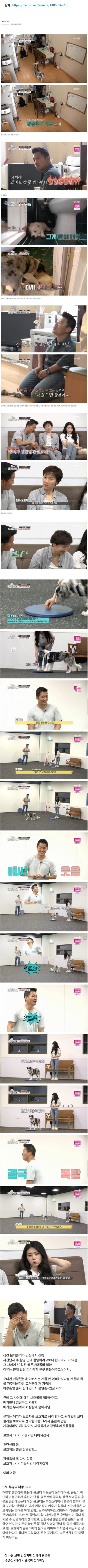 20년도에 방영된 '개는 훌륭하다' 역대급 논란 사건 | 인스티즈