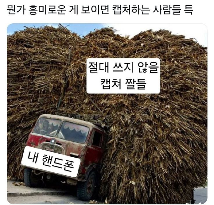 댁아리 비우고싶을떼 보는글 | 인스티즈