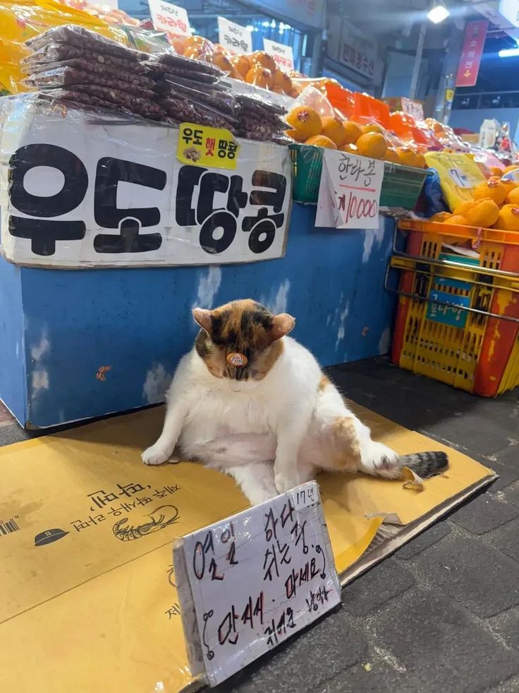 댁아리 비우고싶을떼 보는글 | 인스티즈