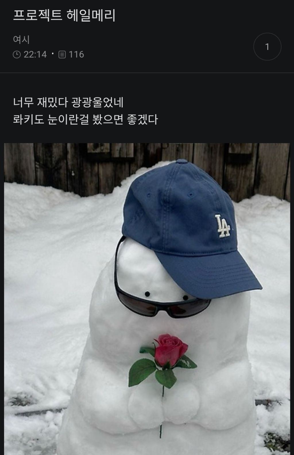 프로젝트 헤일메리 로키도 눈이란걸 봤으면 좋겠다..ㅠㅠ | 인스티즈