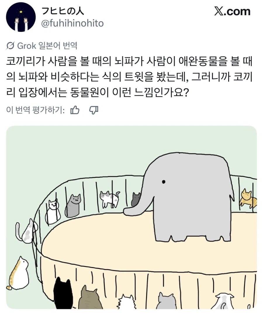 동물원에서 사람이 오면 제일 기뻐하는 동물 | 인스티즈
