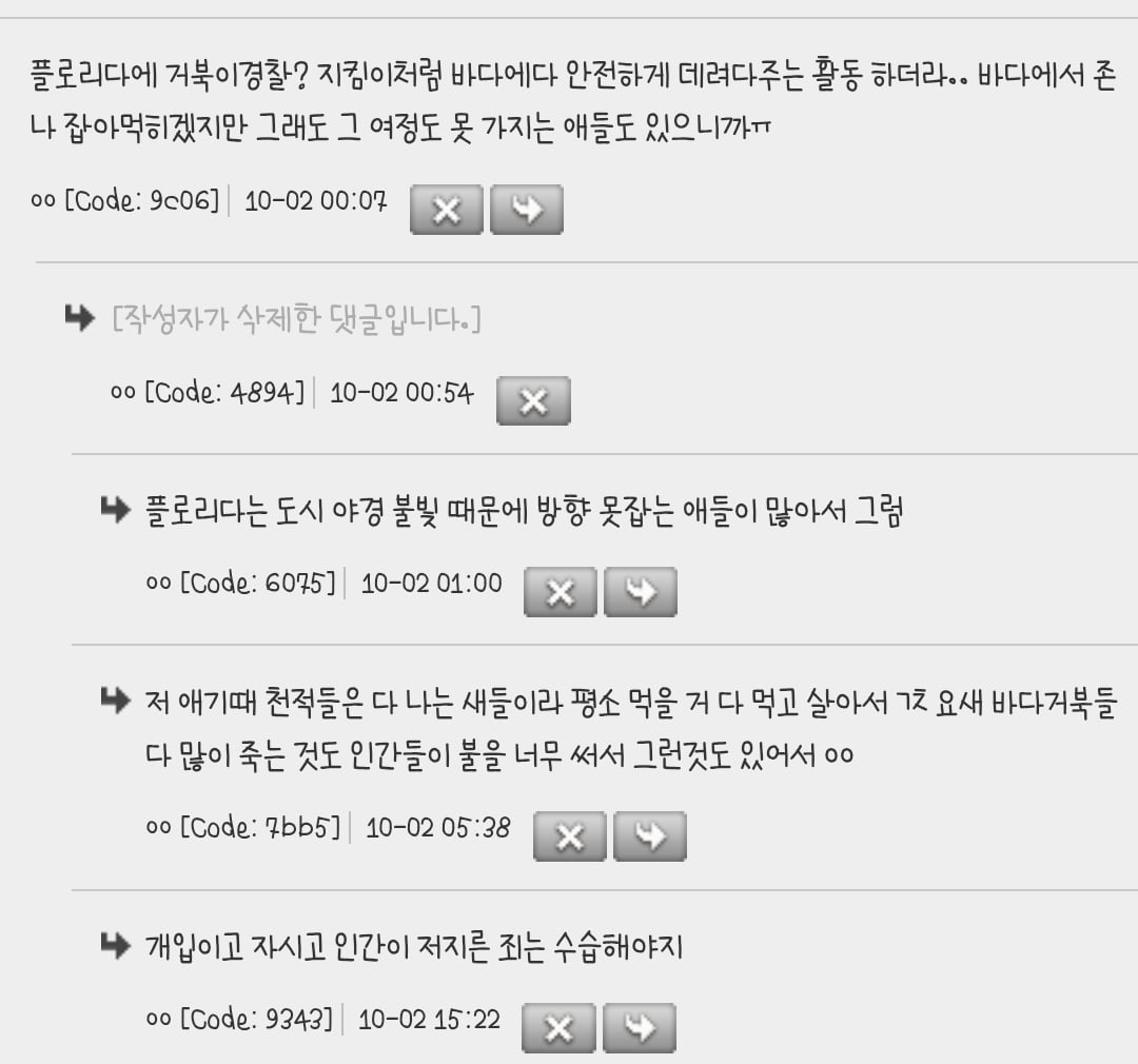 난 아기거북들이 바다로 나가는 짤 볼때마다 왤케 슬프지 | 인스티즈