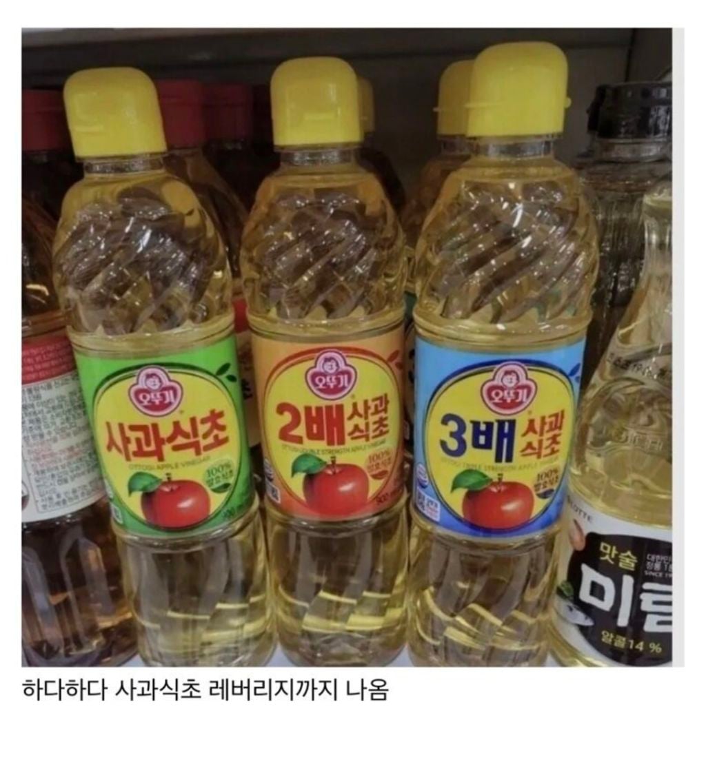 나라 전체가 도박판이 된 증거 | 인스티즈