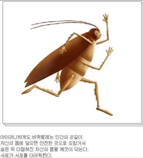 ???: 아ㅋㅋ 오늘 인간이랑 스침;; 퉤 | 인스티즈