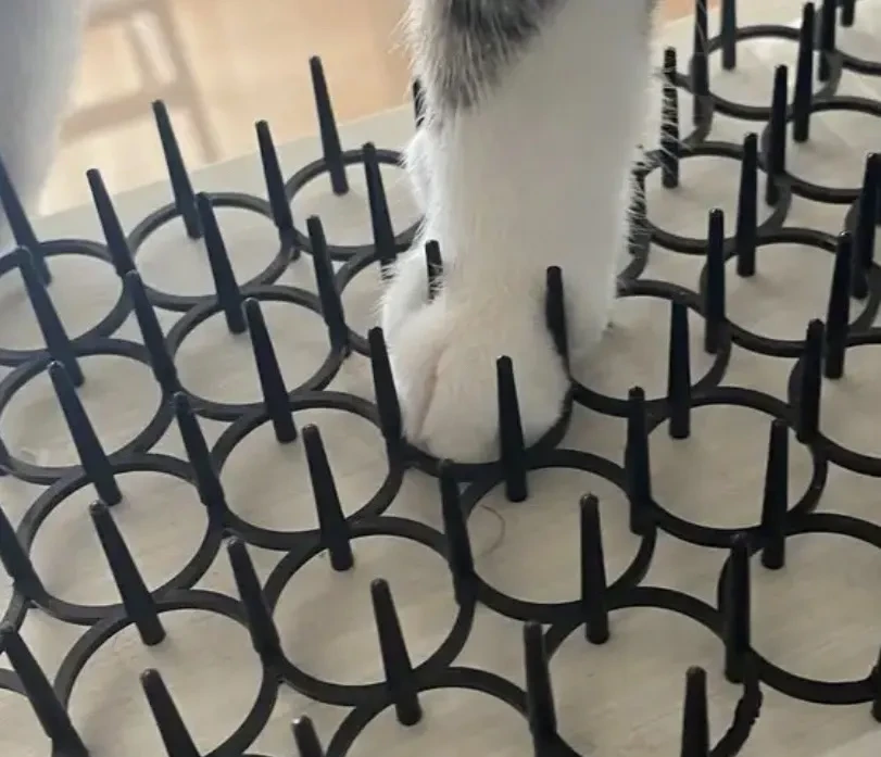 고냥이 접근금지 패드 | 인스티즈