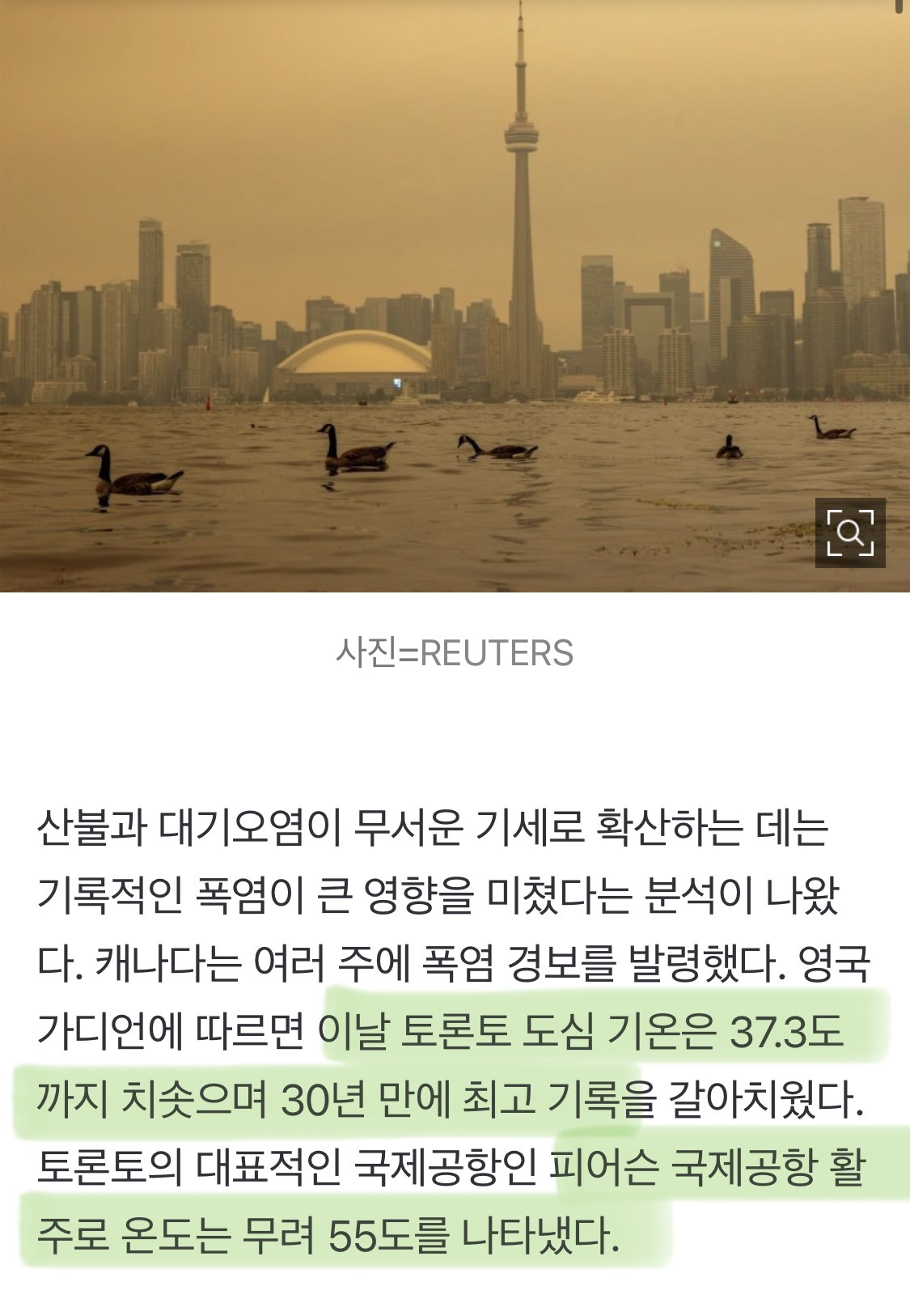 샛노란 하늘에 갇힌 도시… '세계 최악' 대기질에 멈춰 선 토론토 | 인스티즈