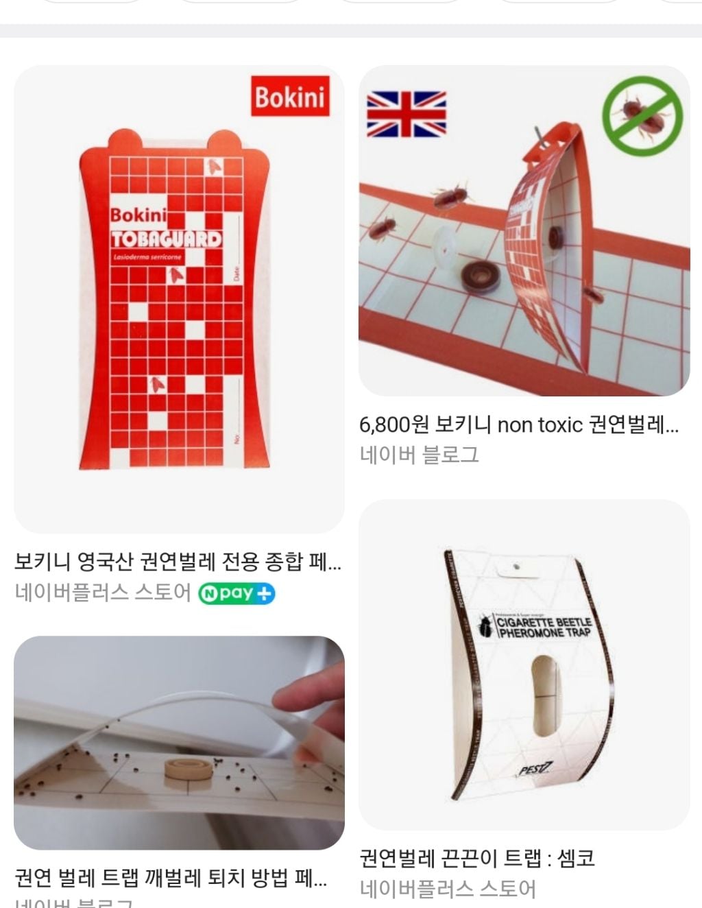 바퀴벌레 보다 더 빡치는 지독한 사람 미치게 하는 벌레 "권연벌레" (벌레사진 있음) | 인스티즈