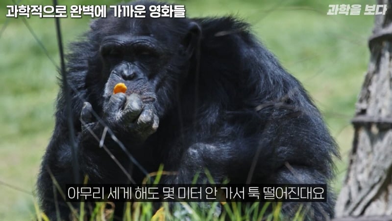 과학자들이 뽑은 고증 가장 잘된 sf영화 GOAT | 인스티즈