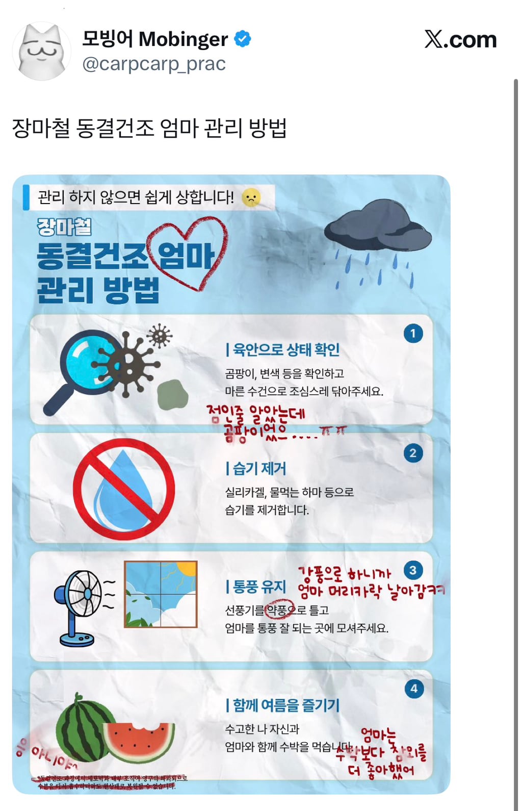 장마철 동결건조 엄마 관리 방법 | 인스티즈