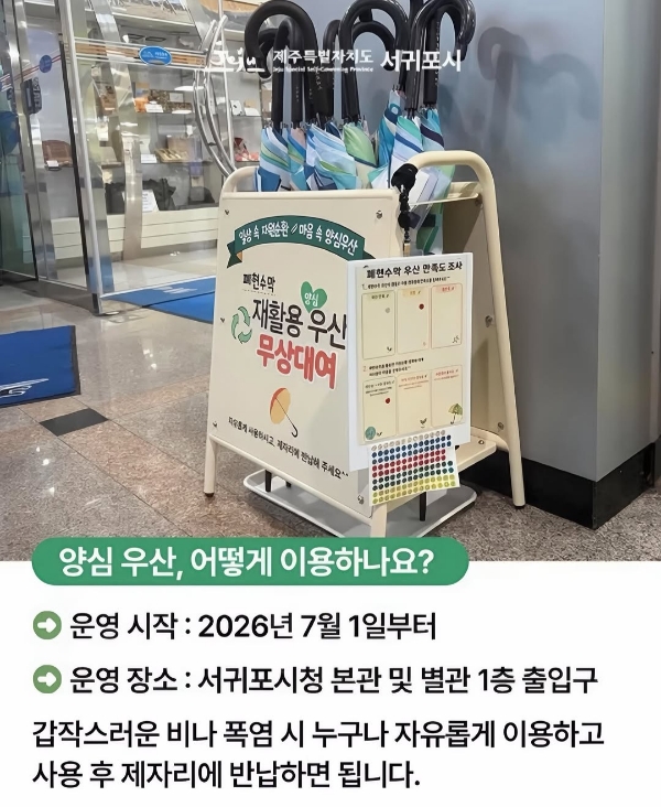 현재 극찬받는 제주도 서귀포시 우산 | 인스티즈