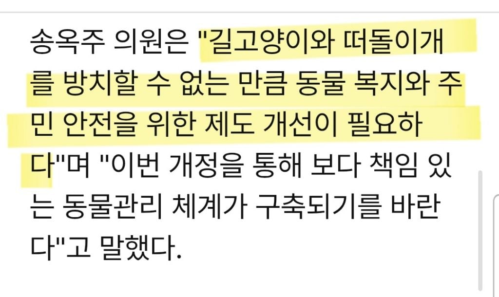 송옥주 의원, 길고양이·떠돌이개 관리 지원 근거 담은 동물보호법 개정안 발의 | 인스티즈