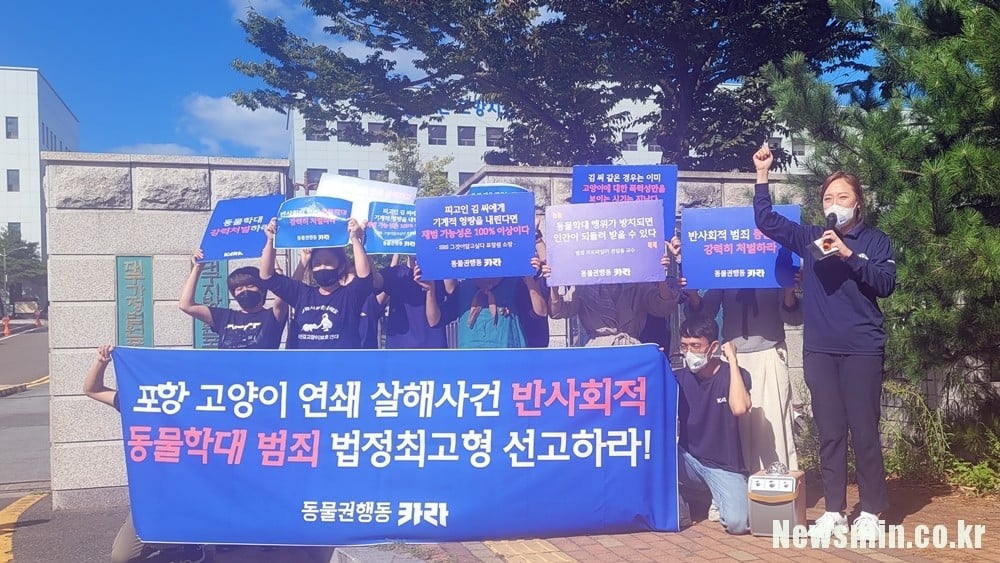 고양이 밥자리 훼손은 동물학대의 시작일 수 있습니다 (포항 고양이 학대범 또 활동..?) | 인스티즈