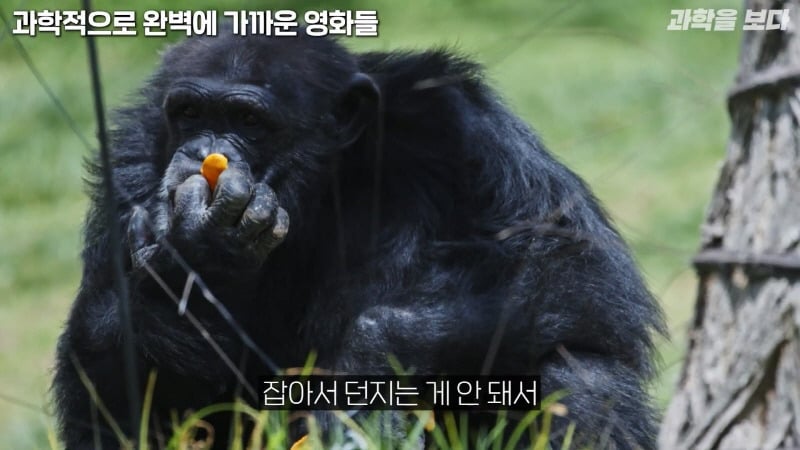 과학자들이 뽑은 고증 가장 잘된 sf영화 GOAT | 인스티즈