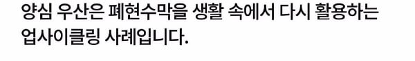 현재 극찬받는 제주도 서귀포시 우산 | 인스티즈