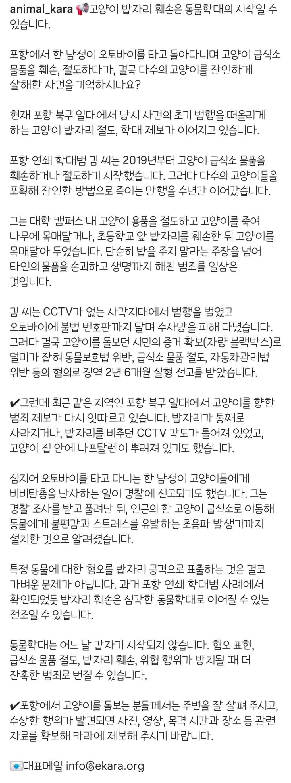 고양이 밥자리 훼손은 동물학대의 시작일 수 있습니다 (포항 고양이 학대범 또 활동..?) | 인스티즈