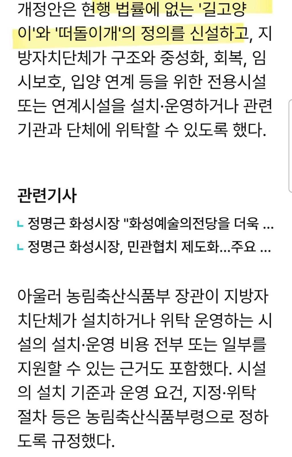 송옥주 의원, 길고양이·떠돌이개 관리 지원 근거 담은 동물보호법 개정안 발의 | 인스티즈