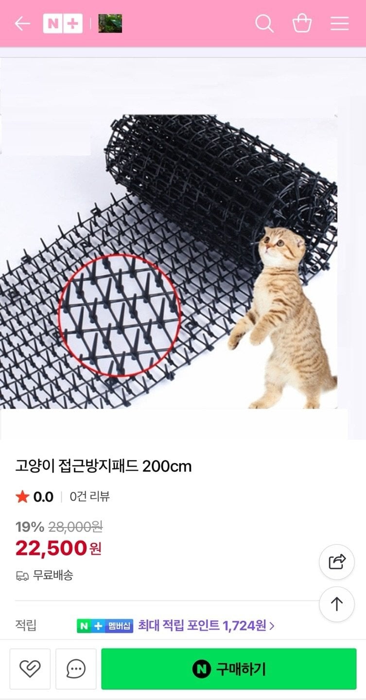 고냥이 접근금지 패드 | 인스티즈