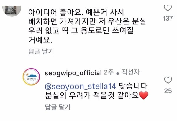 현재 극찬받는 제주도 서귀포시 우산 | 인스티즈