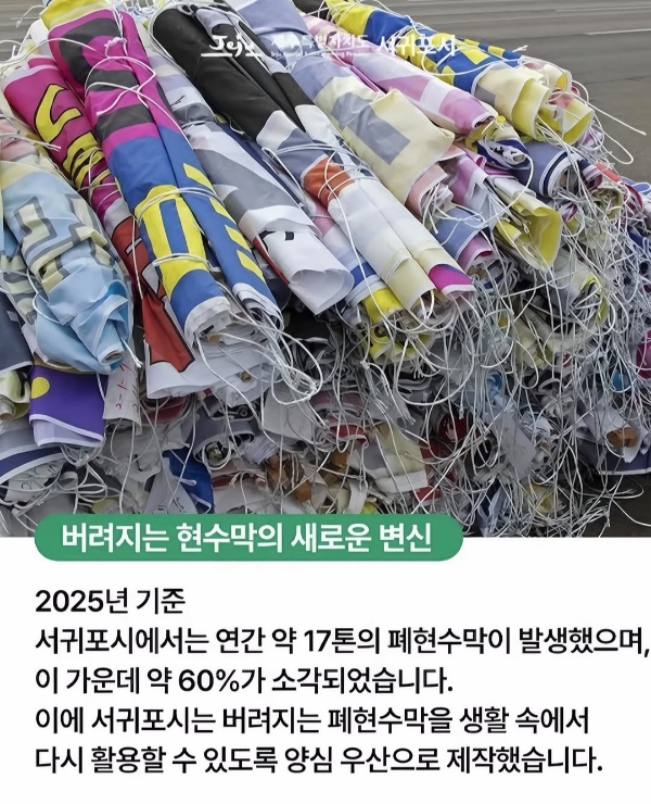 현재 극찬받는 제주도 서귀포시 우산 | 인스티즈
