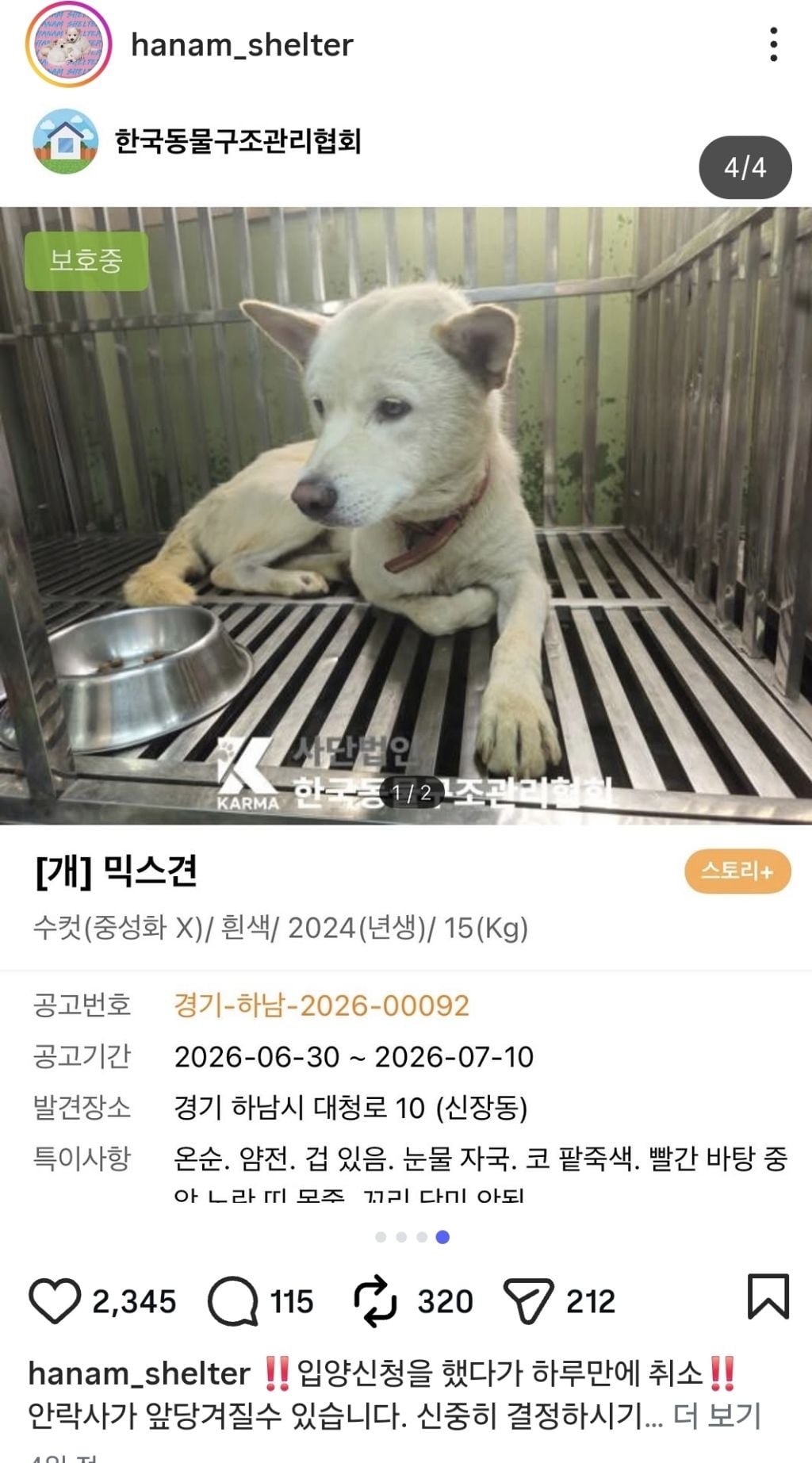 보호소 들어가고나서 표정변화 봐...미치겠다 | 인스티즈