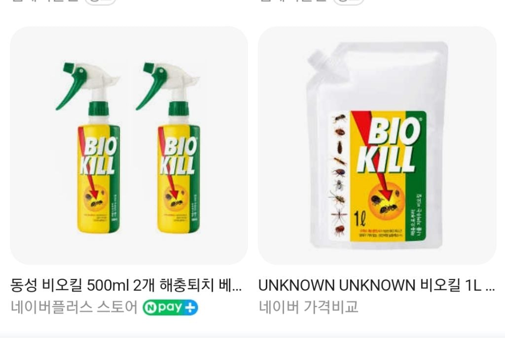 바퀴벌레 보다 더 빡치는 지독한 사람 미치게 하는 벌레 "권연벌레" (벌레사진 있음) | 인스티즈