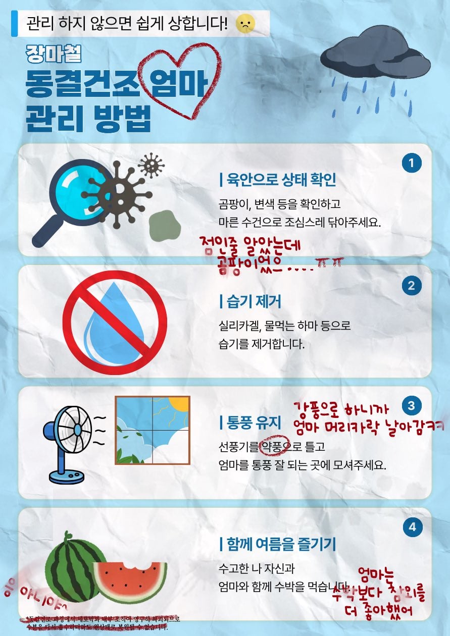 장마철 동결건조 엄마 관리 방법 | 인스티즈