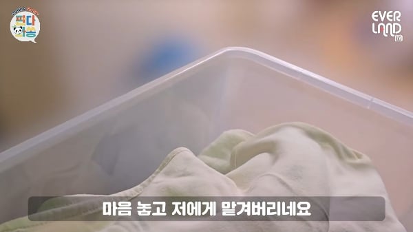 아이바오한테 대놓고 아기 좀 달라는 송바오ㅋㅋ.gif | 인스티즈