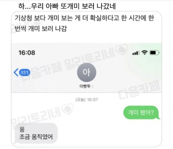 아빠가 날씨 확인할때 쓴다는 방법 | 인스티즈