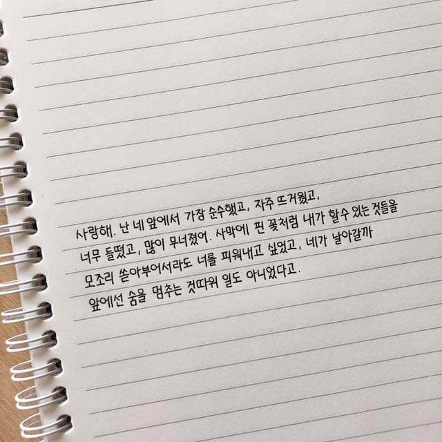 사랑해. 난 네 앞에서 가장 순수했고, 자주 뜨거웠고, 너무 들떴고, 많이 무너졌어 | 인스티즈