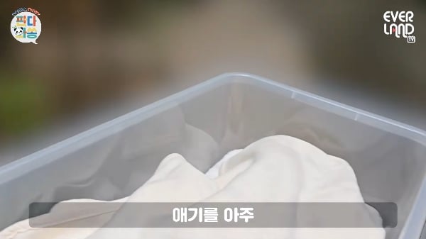 아이바오한테 대놓고 아기 좀 달라는 송바오ㅋㅋ.gif | 인스티즈