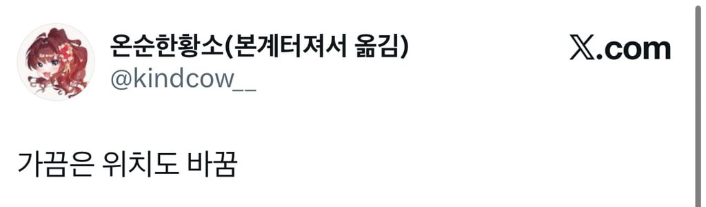 우리집앞에 항상 같은장소에서 같은포즈로 쉬고있는 고양희가 있음.x | 인스티즈