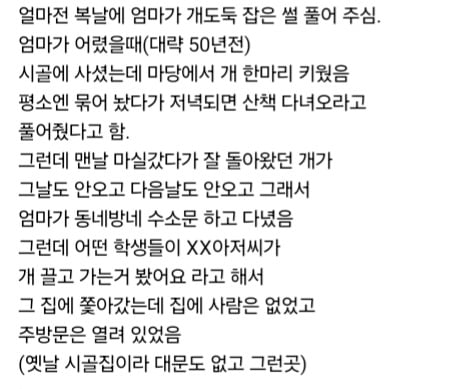엄마께서 복날에 개도둑을 잡으신 ssul | 인스티즈