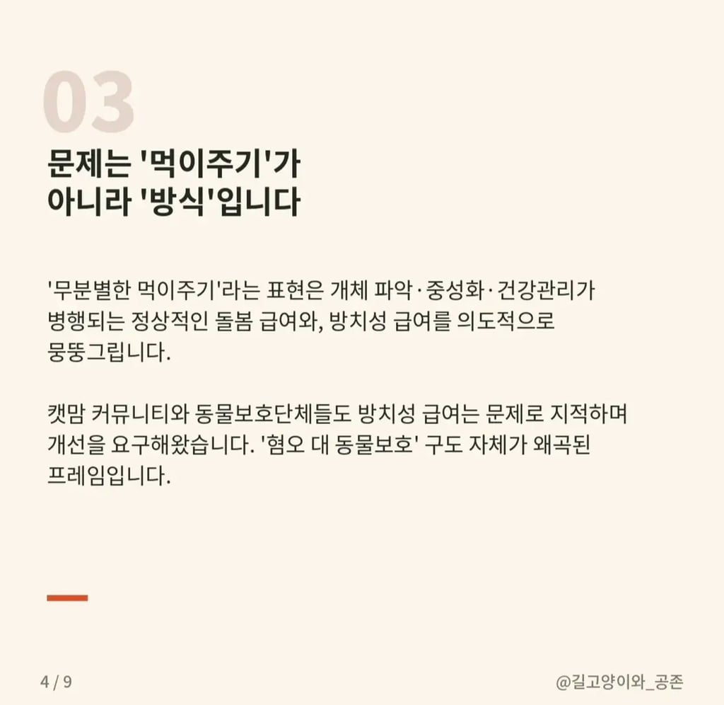 길고양이 살처분 청원, 무엇이 문제인가 | 인스티즈