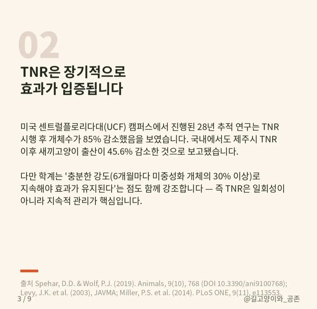 길고양이 살처분 청원, 무엇이 문제인가 | 인스티즈