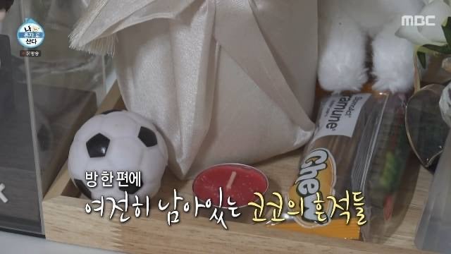이주승 母, 반려견 코코 떠나고 아들 집 방문도 거부방에 유골함 여전 먹먹(나혼산) | 인스티즈