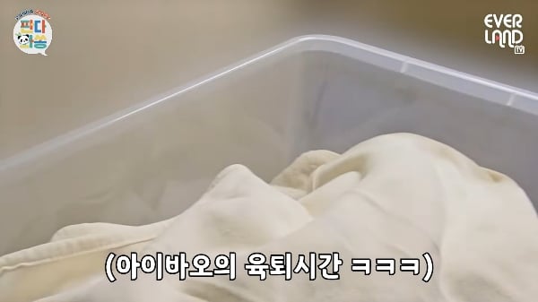 아이바오한테 대놓고 아기 좀 달라는 송바오ㅋㅋ.gif | 인스티즈