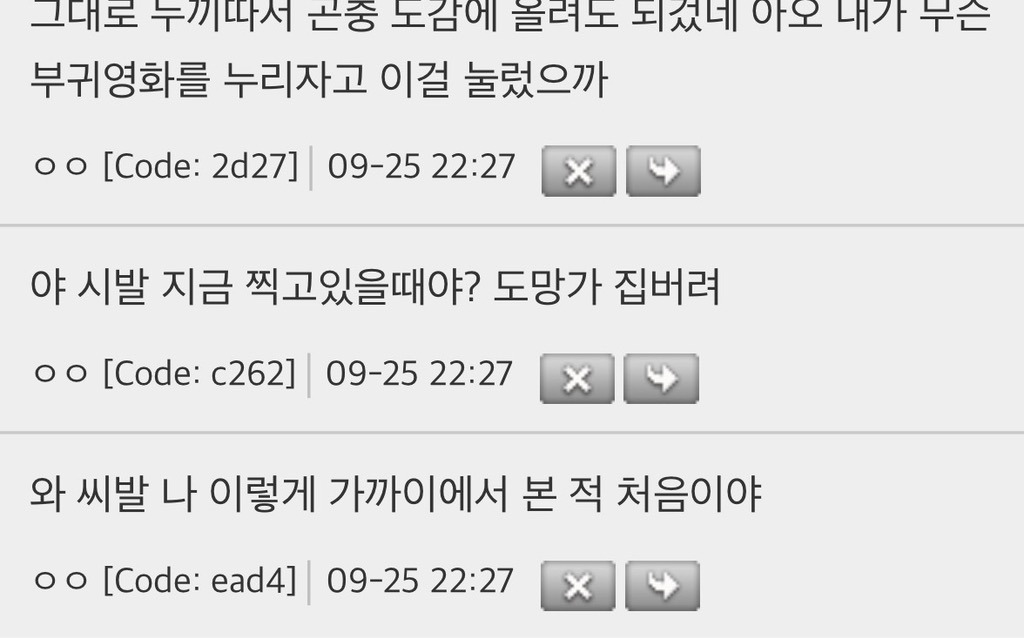 혐주의) 너무 크고 선명한 바퀴벌레를 목격한 사람 | 인스티즈