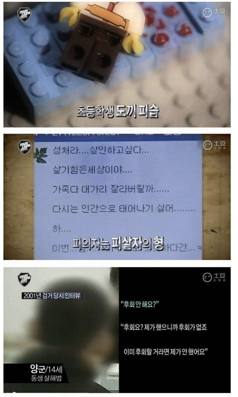 재미로 친동생의 목을 도끼로 내려친 14살 | 인스티즈