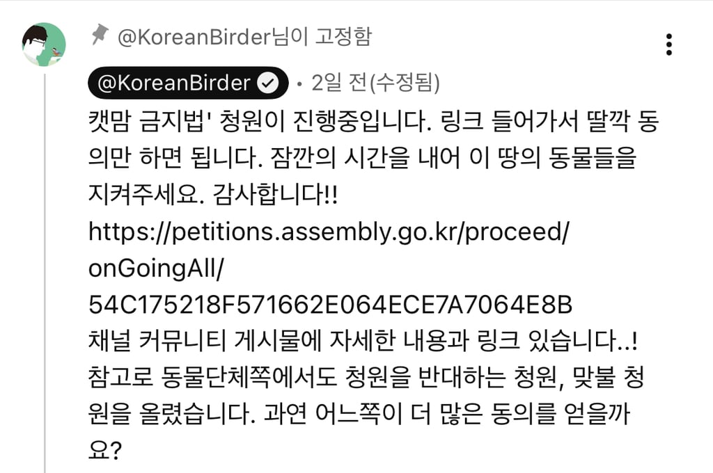 길고양이 살처분 청원, 무엇이 문제인가 | 인스티즈