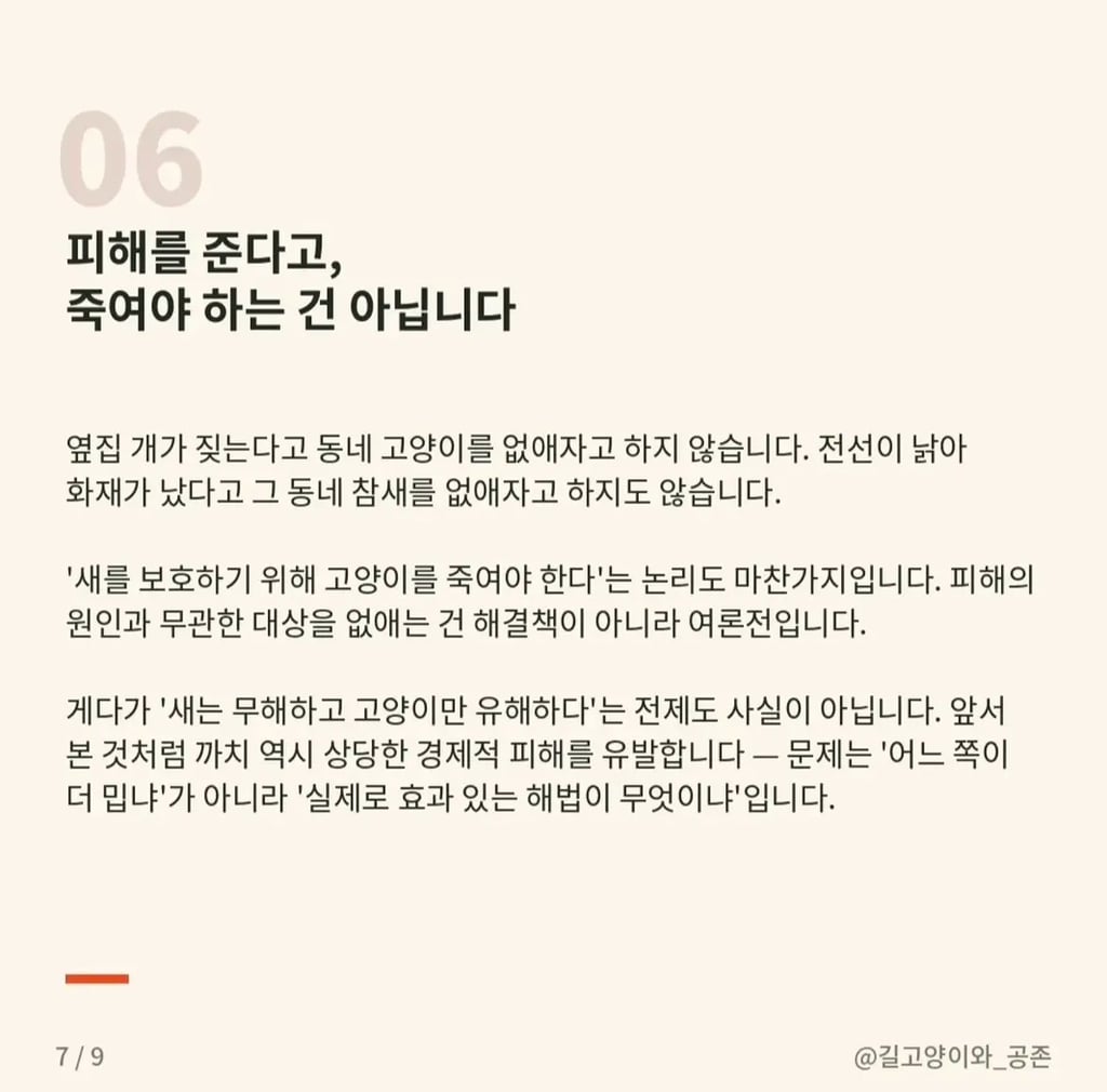 길고양이 살처분 청원, 무엇이 문제인가 | 인스티즈