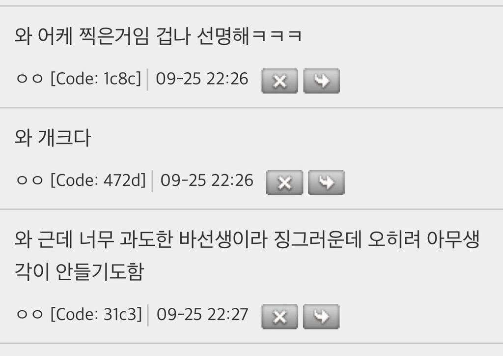 혐주의) 너무 크고 선명한 바퀴벌레를 목격한 사람 | 인스티즈