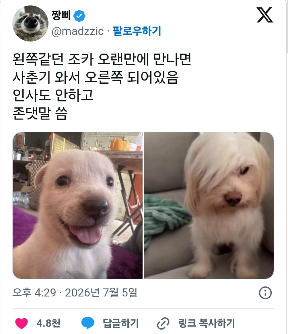 왼쪽같던 조카 오랜만에 만나면 사춘기 와서 오른쪽 되어있음 | 인스티즈