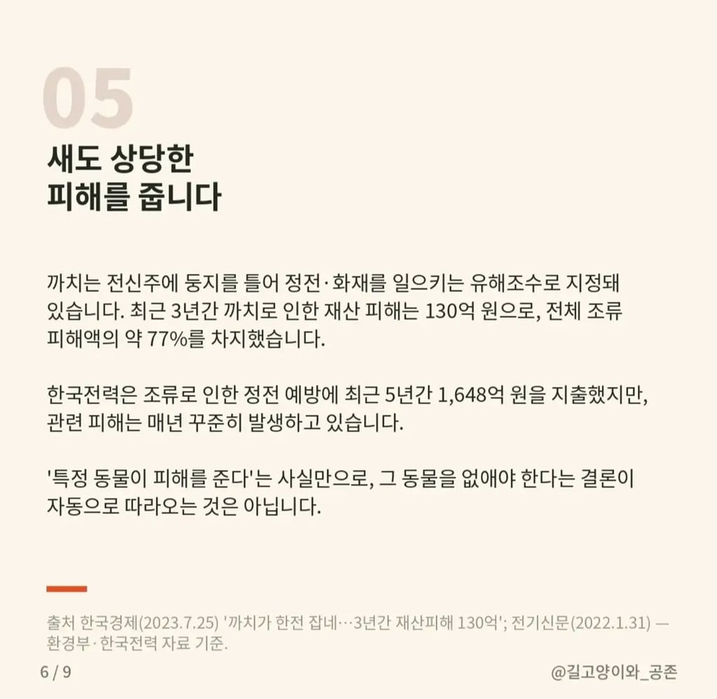길고양이 살처분 청원, 무엇이 문제인가 | 인스티즈