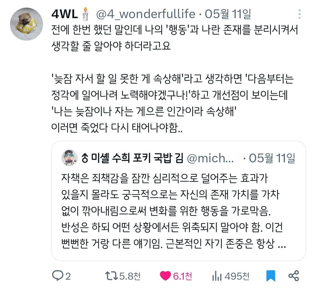 인생 꿀팁 다 풀었음 | 인스티즈