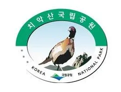 엥 얼떨결에 지명을 바꿔버렸습니다 | 인스티즈